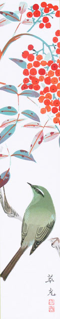 Fukuda, a Japanese bush-warbler